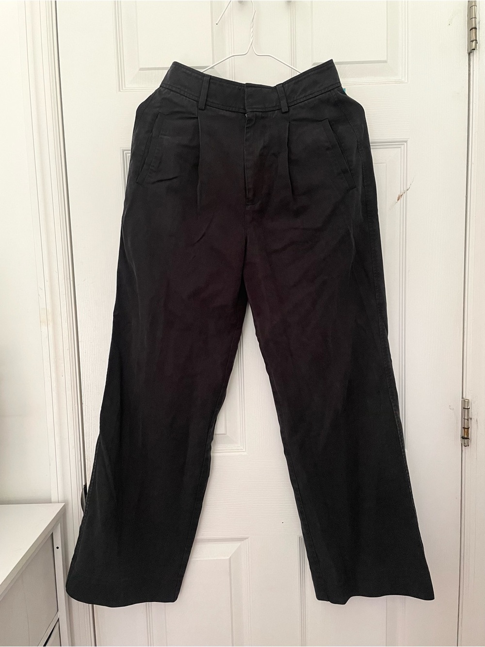 Everlane Black Pleated Chino Pants
